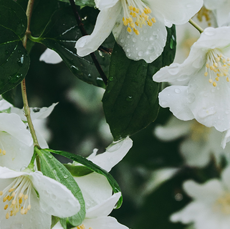 4,184 sqm private green space