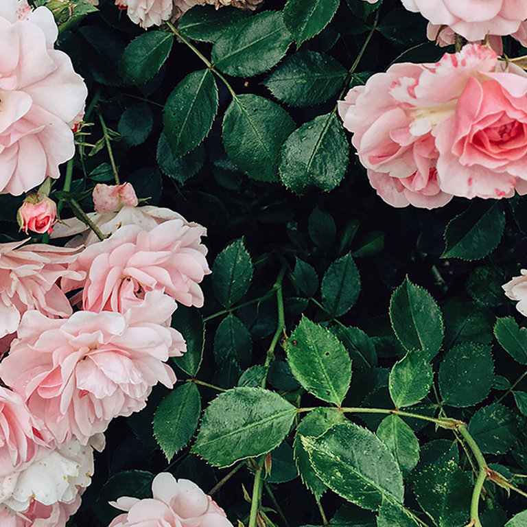 Transform working habits..