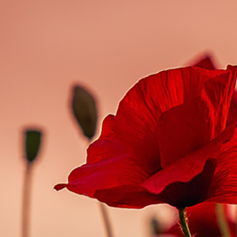 A smoother commute to work